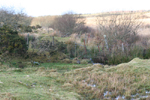 Blanket Bog, Bodmin Moor, Great Britain