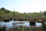 Excavated Peat Bog in Haaksbergen, The Netherlands